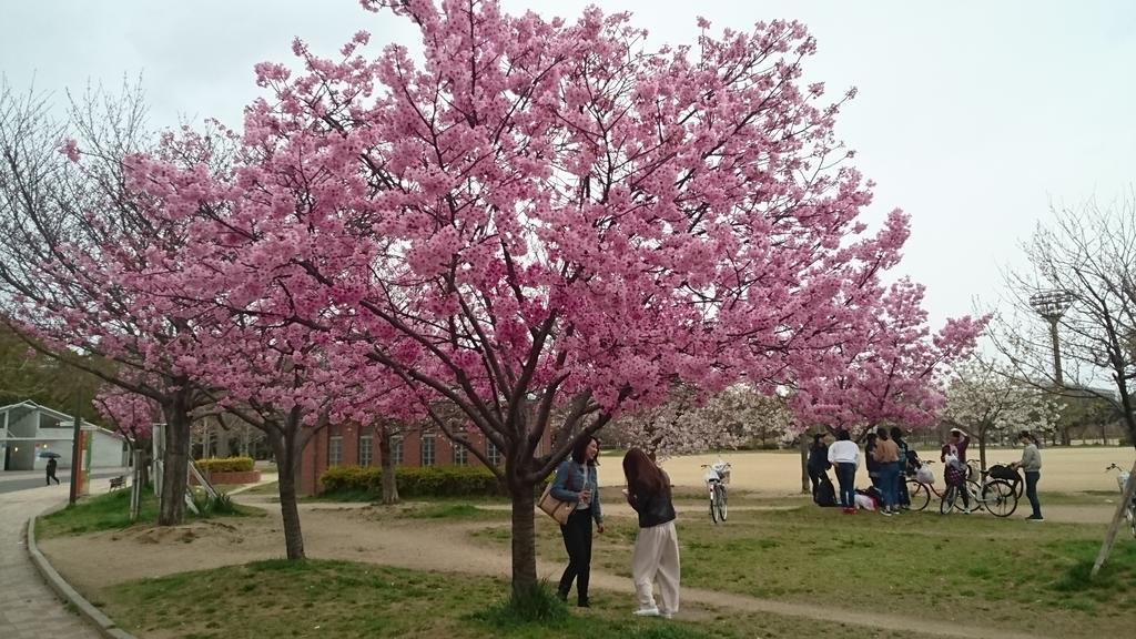 Abiko Guest House Matsubara Εξωτερικό φωτογραφία