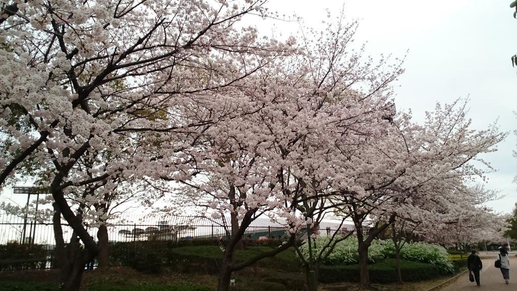 Abiko Guest House Matsubara Εξωτερικό φωτογραφία